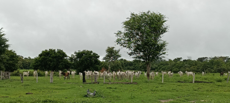 Imagem Chácara à Venda, 884 m² em Centro - Paranatinga Imagem Chácara à Venda, 884 m² em Centro - Paranatinga