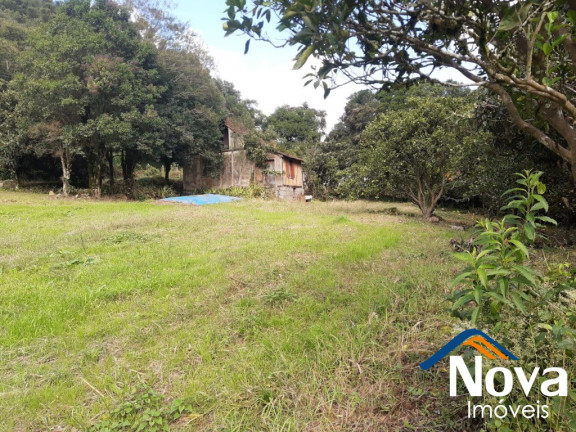 Imagem Imóvel à Venda, 120.000 m² em Linha Pirajá Baixa - Nova Petrópolis Imagem Imóvel à Venda, 120.000 m² em Linha Pirajá Baixa - Nova Petrópolis