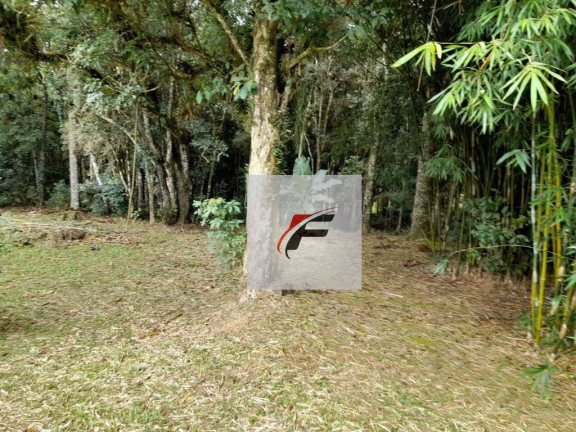 Imagem Chácara com 3 Quartos à Venda, 20.000 m² em Colônia Malhada - São José Dos Pinhais Imagem Chácara com 3 Quartos à Venda, 20.000 m² em Colônia Malhada - São José Dos Pinhais