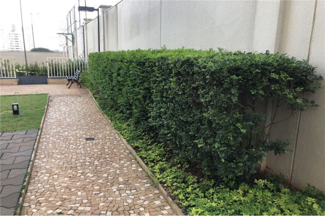 Imagem Apartamento com 3 Quartos à Venda, 63 m² em Vila Santa Clara - São Paulo Imagem Apartamento com 3 Quartos à Venda, 63 m² em Vila Santa Clara - São Paulo