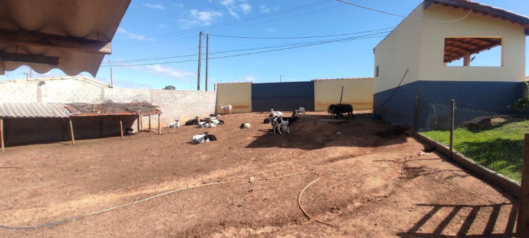 Imagem Chácara com 2 Quartos à Venda, 2.000 m² em Higino Moreira - Capela Do Alto Imagem Chácara com 2 Quartos à Venda, 2.000 m² em Higino Moreira - Capela Do Alto