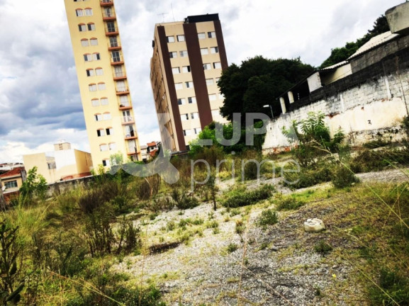 Imagem Terreno para Alugar, 630 m² em Vila Isolina Mazzei - São Paulo