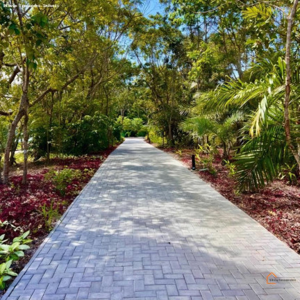 Imagem Terreno à Venda, 700 m² em Praia Do Forte - Mata De São João