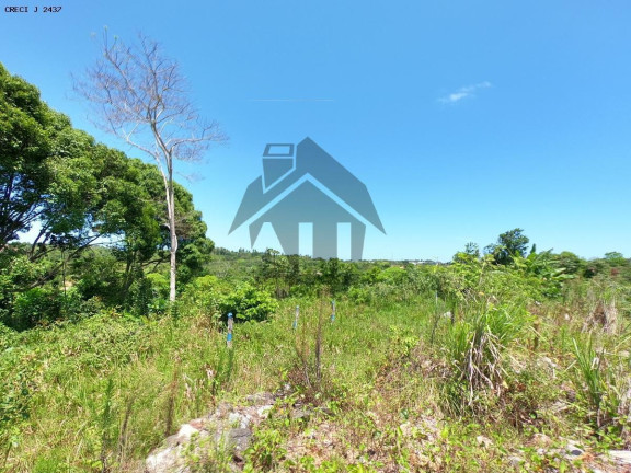Imagem Terreno à Venda, 12.000 m² em Ceasa - Salvador Imagem Terreno à Venda, 12.000 m² em Ceasa - Salvador