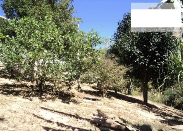 Imagem Chácara com 2 Quartos à Venda, 1.440 m² em Terra Preta - Mairiporã