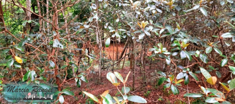 Imagem Imóvel à Venda, 8.650 m² em Caxeta - Campos Dos Goytacazes