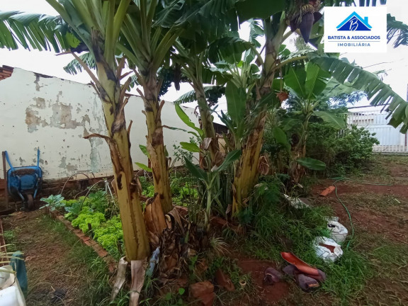 Imagem Terreno à Venda, 330 m² em Vila Menuzzo - Sumaré Imagem Terreno à Venda, 330 m² em Vila Menuzzo - Sumaré