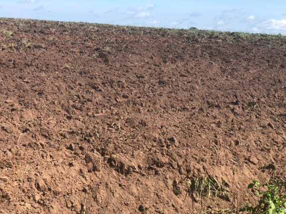 Imagem Fazenda à Venda, 15.000 m² em Mato Grosso Imagem Fazenda à Venda, 15.000 m² em Mato Grosso