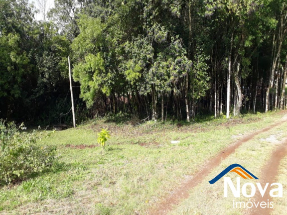 Imagem Imóvel à Venda, 150 m² em Linha Araripe - Nova Petrópolis Imagem Imóvel à Venda, 150 m² em Linha Araripe - Nova Petrópolis