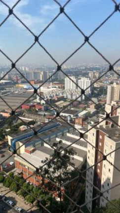 Imagem Apartamento com 2 Quartos à Venda, 55 m² em Vila Das Mercês - São Paulo
