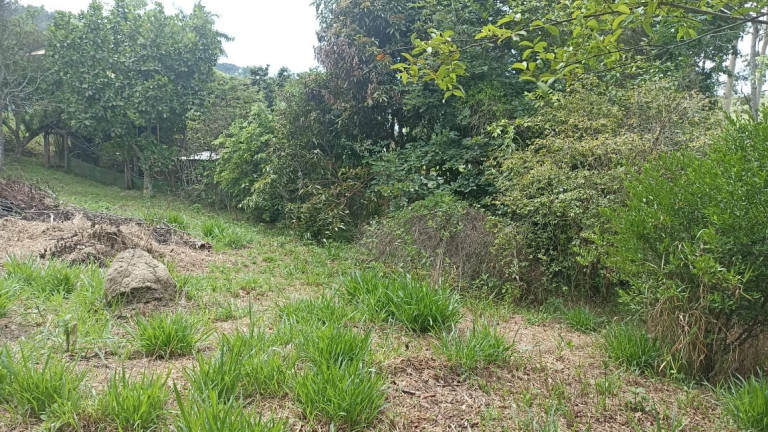 Imagem Chácara com 2 Quartos à Venda, 100 m² em Varjao - Paraibuna Imagem Chácara com 2 Quartos à Venda, 100 m² em Varjao - Paraibuna