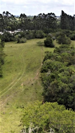 Imagem Chácara à Venda, 2.000 m² em Fiuza - Viamão Imagem Chácara à Venda, 2.000 m² em Fiuza - Viamão