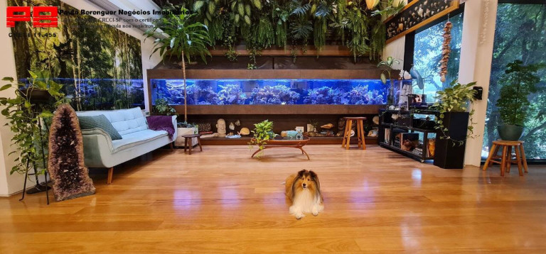 Imagem Casa com 4 Quartos à Venda, 464 m² em Vila Ipojuca - São Paulo Imagem Casa com 4 Quartos à Venda, 464 m² em Vila Ipojuca - São Paulo