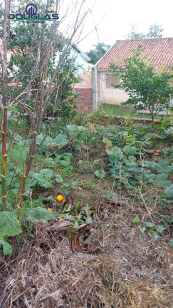 Imagem Casa com 2 Quartos à Venda, 300 m² em Viamão Imagem Casa com 2 Quartos à Venda, 300 m² em Viamão
