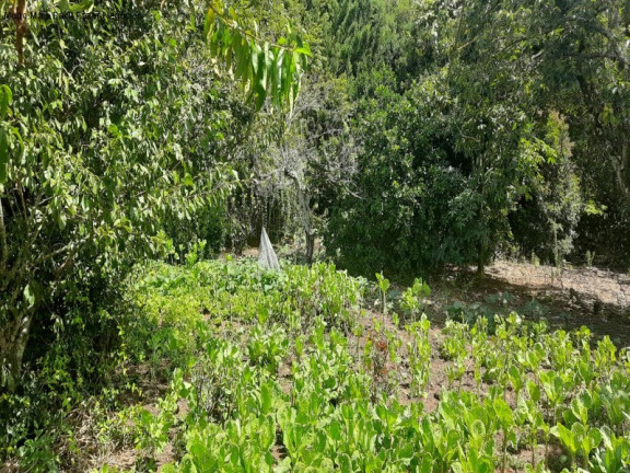 Imagem Terreno à Venda, 1.845 m² em Vila Olinda - Nova Petrópolis Imagem Terreno à Venda, 1.845 m² em Vila Olinda - Nova Petrópolis