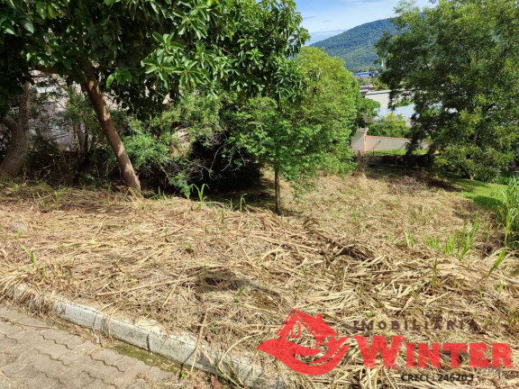 Imagem Terreno à Venda, 744 m² em Matiel - Feliz Imagem Terreno à Venda, 744 m² em Matiel - Feliz