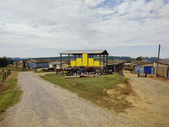 Imagem Chácara à Venda, 23 m² em Itapetininga Imagem Chácara à Venda, 23 m² em Itapetininga