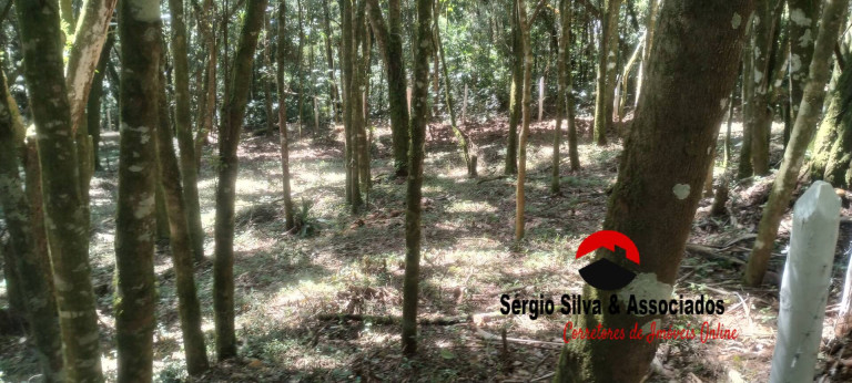 Imagem Terreno à Venda, 1 m² em Vila Natal - Campos Do Jordão