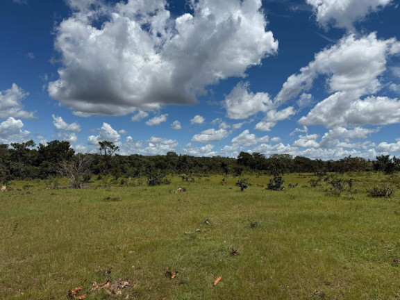 Imagem Fazenda à Venda, em Bom Jardim De Goiás Imagem Fazenda à Venda, em Bom Jardim De Goiás