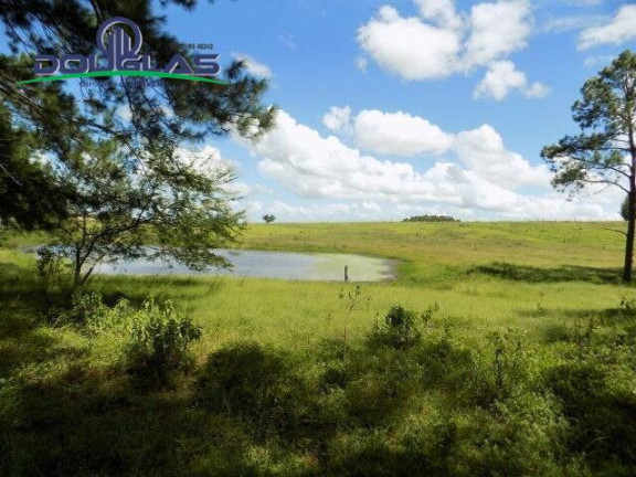 Imagem Chácara com 2 Quartos à Venda, 190.000 m² em Viamão Imagem Chácara com 2 Quartos à Venda, 190.000 m² em Viamão