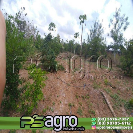 Imagem Fazenda à Venda, 45.000.000 m² em Alto Do Pinho - São Luís Imagem Fazenda à Venda, 45.000.000 m² em Alto Do Pinho - São Luís