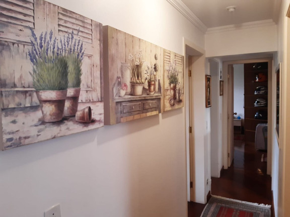 Imagem Apartamento com 3 Quartos à Venda, 103 m² em Vila Andrade - São Paulo