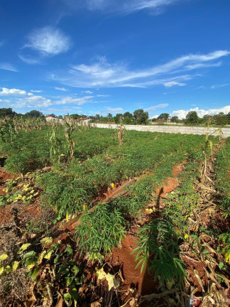 Imagem Terreno à Venda, 2.000 m² em Sobradinho - Patos De Minas Imagem Terreno à Venda, 2.000 m² em Sobradinho - Patos De Minas