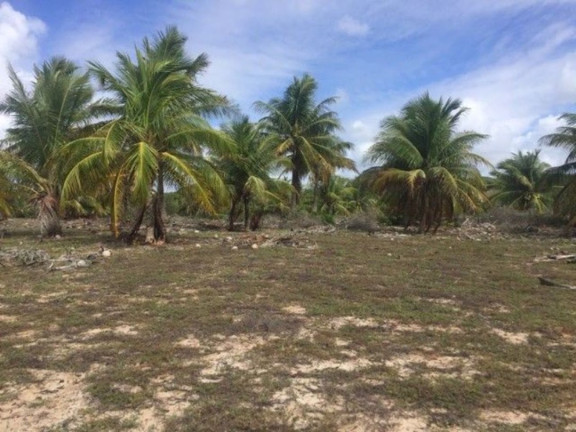 Imagem Terreno à Venda, 100.000 m² em Centro - Jandaíra Imagem Terreno à Venda, 100.000 m² em Centro - Jandaíra