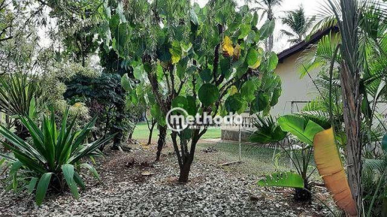 Imagem Chácara com 3 Quartos à Venda, 300 m² em Chácaras Bocaiúva Nova - Campinas Imagem Chácara com 3 Quartos à Venda, 300 m² em Chácaras Bocaiúva Nova - Campinas