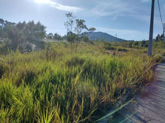 Imagem Terreno à Venda, 360 m² em Areias De Cima - Governador Celso Ramos Imagem Terreno à Venda, 360 m² em Areias De Cima - Governador Celso Ramos