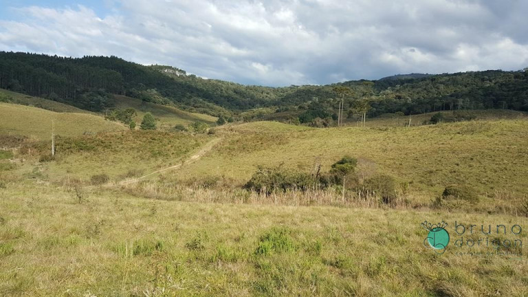 Imagem Terreno à Venda, 450.000 m² em Zona Rural - Bom Retiro Imagem Terreno à Venda, 450.000 m² em Zona Rural - Bom Retiro