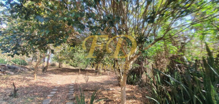 Imagem Chácara com 4 Quartos à Venda, 1.000 m² em São Vicente - Mairiporã Imagem Chácara com 4 Quartos à Venda, 1.000 m² em São Vicente - Mairiporã