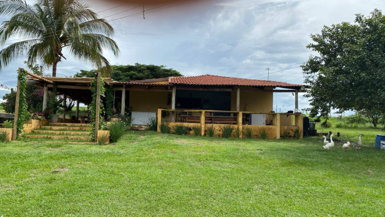 Imagem Fazenda à Venda, 390.000 m² em Santa Cruz De Goiás