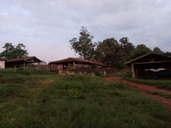 Imagem Fazenda à Venda, 60 m² em Rural - Avaré Imagem Fazenda à Venda, 60 m² em Rural - Avaré