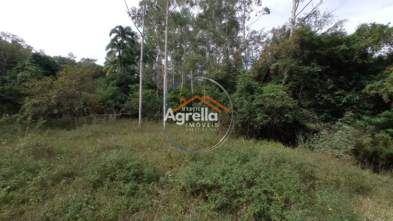 Imagem Imóvel com 3 Quartos à Venda, 25.000 m² em Jardim Primavera - Mogi Mirim Imagem Imóvel com 3 Quartos à Venda, 25.000 m² em Jardim Primavera - Mogi Mirim