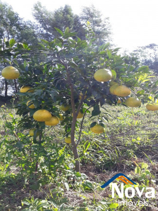 Imagem Imóvel à Venda, em Pinhal Alto - Nova Petrópolis Imagem Imóvel à Venda, em Pinhal Alto - Nova Petrópolis