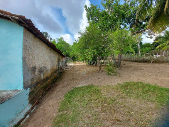 Imagem Fazenda à Venda, 2.000 m² em Zona Rural - São José De Mipibu Imagem Fazenda à Venda, 2.000 m² em Zona Rural - São José De Mipibu