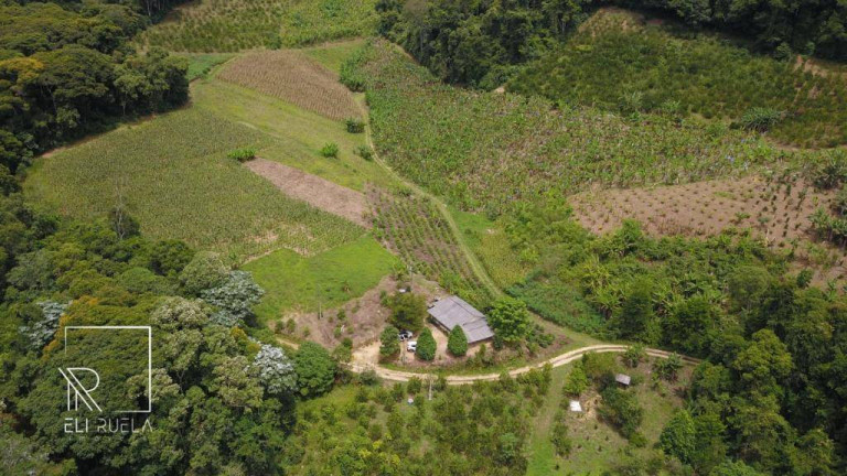 Imagem Chácara com 3 Quartos à Venda, 30.000 m² em Boa Esperança - Marechal Floriano