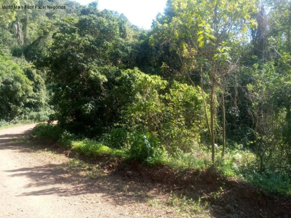 Imagem Terreno à Venda, 2 m² em Linha Temerária - Nova Petrópolis