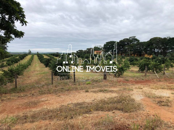 Imagem Chácara à Venda, 39 m² em Espírito Santo Do Pinhal Imagem Chácara à Venda, 39 m² em Espírito Santo Do Pinhal