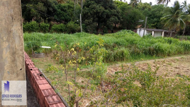 Imagem Chácara com 4 Quartos à Venda, 265 m² em Nova Cruz - Igarassu Imagem Chácara com 4 Quartos à Venda, 265 m² em Nova Cruz - Igarassu