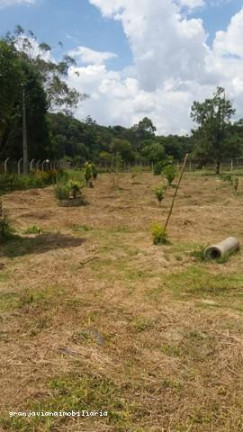 Imagem Chácara à Venda, 3.007 m² em Consultar - Ibiúna