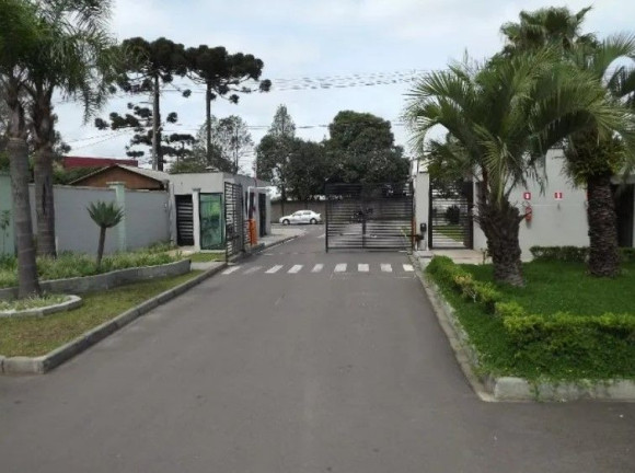 Imagem Apartamento com 2 Quartos à Venda, 48 m² em Costeira - Sao Jose Dos Pinhais Imagem Apartamento com 2 Quartos à Venda, 48 m² em Costeira - Sao Jose Dos Pinhais