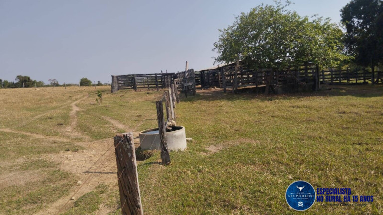 Imagem Chácara à Venda, 20 m² em Zona Rural - Morro Agudo De Goiás Imagem Chácara à Venda, 20 m² em Zona Rural - Morro Agudo De Goiás