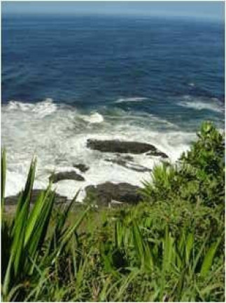 Imagem Terreno à Venda, 2.555 m² em Ponta Negra - Maricá Imagem Terreno à Venda, 2.555 m² em Ponta Negra - Maricá
