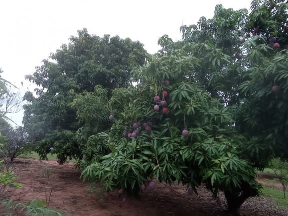 Imagem Imóvel à Venda, 144 m² em área Rural De Bauru - Bauru Imagem Imóvel à Venda, 144 m² em área Rural De Bauru - Bauru