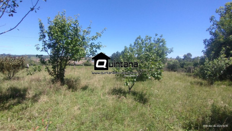 Imagem Imóvel com 2 Quartos à Venda, 50.000 m² em Capela Da Buena - Morro Redondo