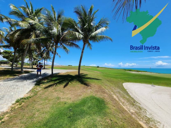 Imagem Terreno à Venda, em Trancoso - Porto Seguro Imagem Terreno à Venda, em Trancoso - Porto Seguro