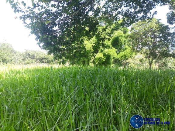 Imagem Chácara à Venda, 3 m² em Setor Central - Itapuranga Imagem Chácara à Venda, 3 m² em Setor Central - Itapuranga