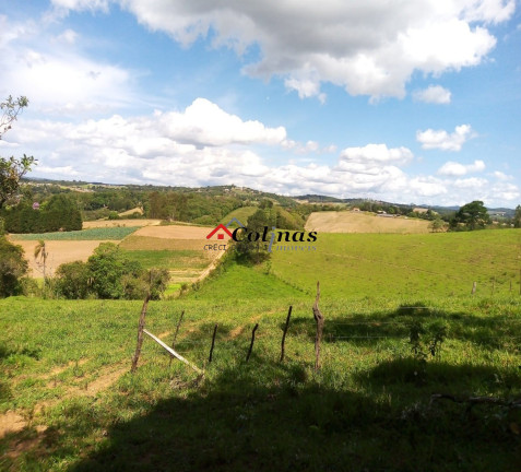 Imagem Terreno à Venda, 30.000 m² em Depois Do Centro - Ibiúna Imagem Terreno à Venda, 30.000 m² em Depois Do Centro - Ibiúna